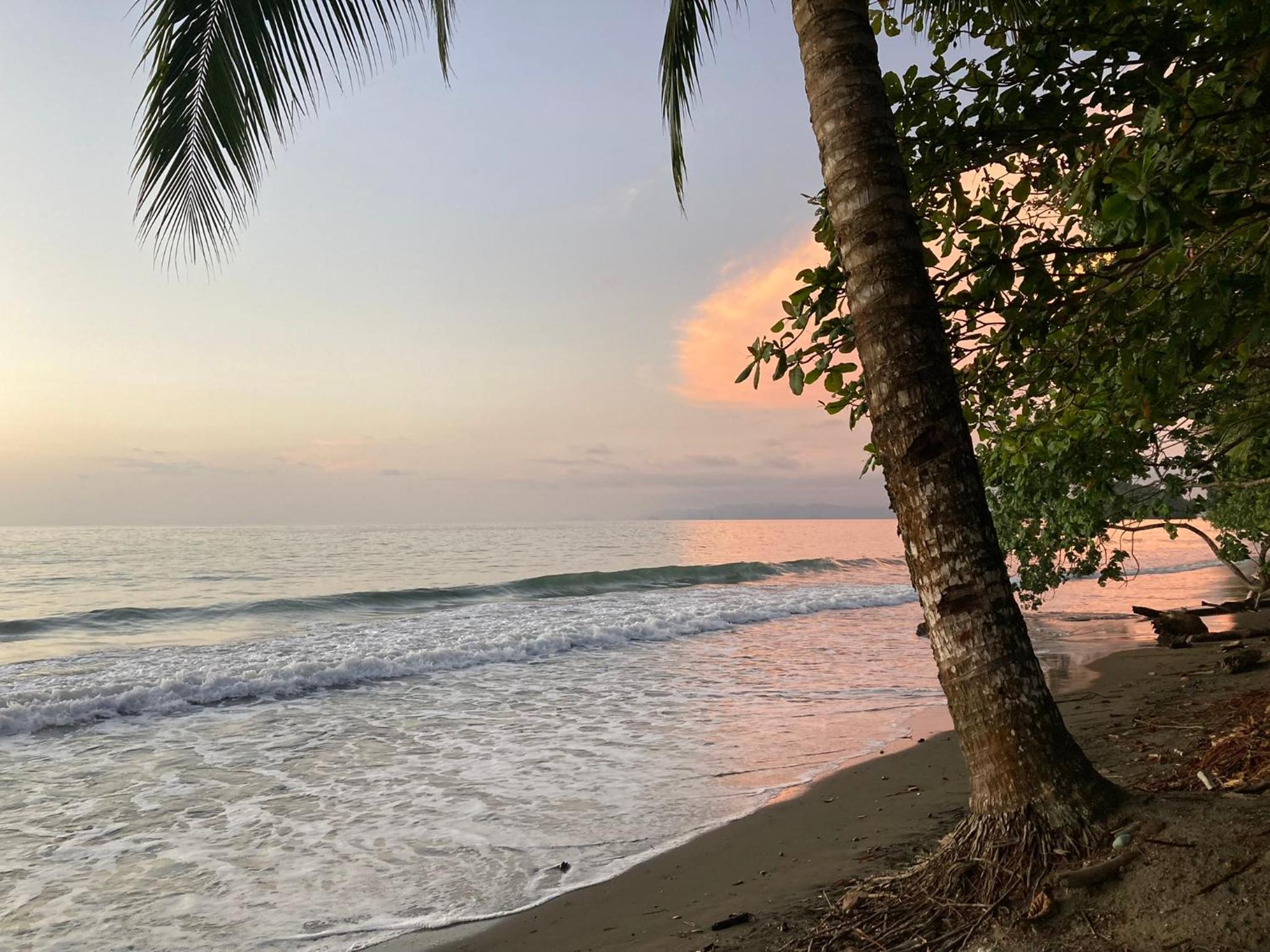 Popochos Beach Eco Lodge