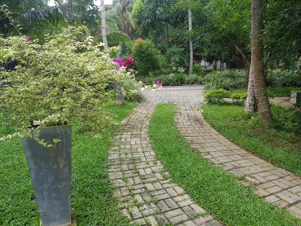 Photo 27