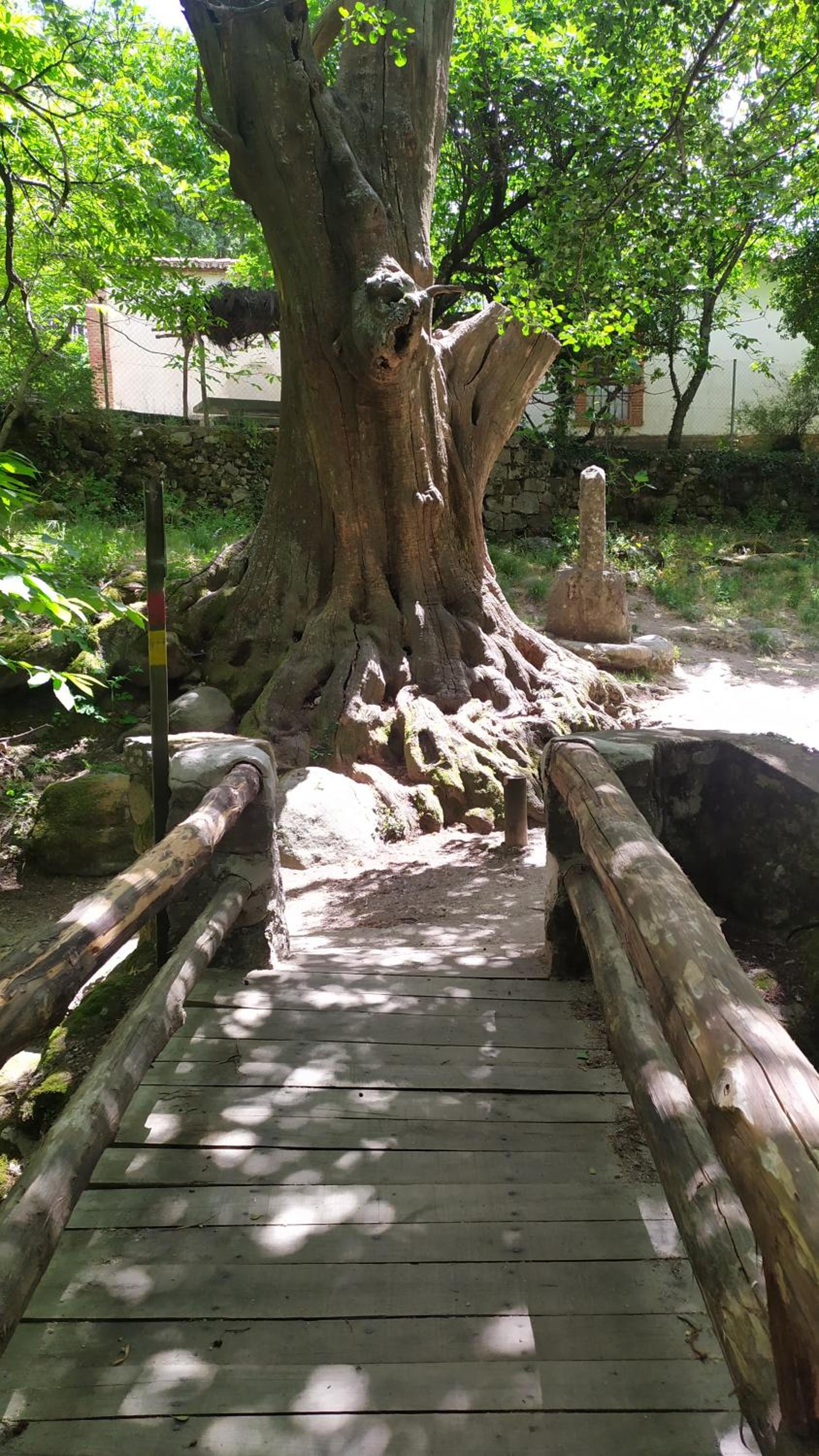 Apartamento El Castillo