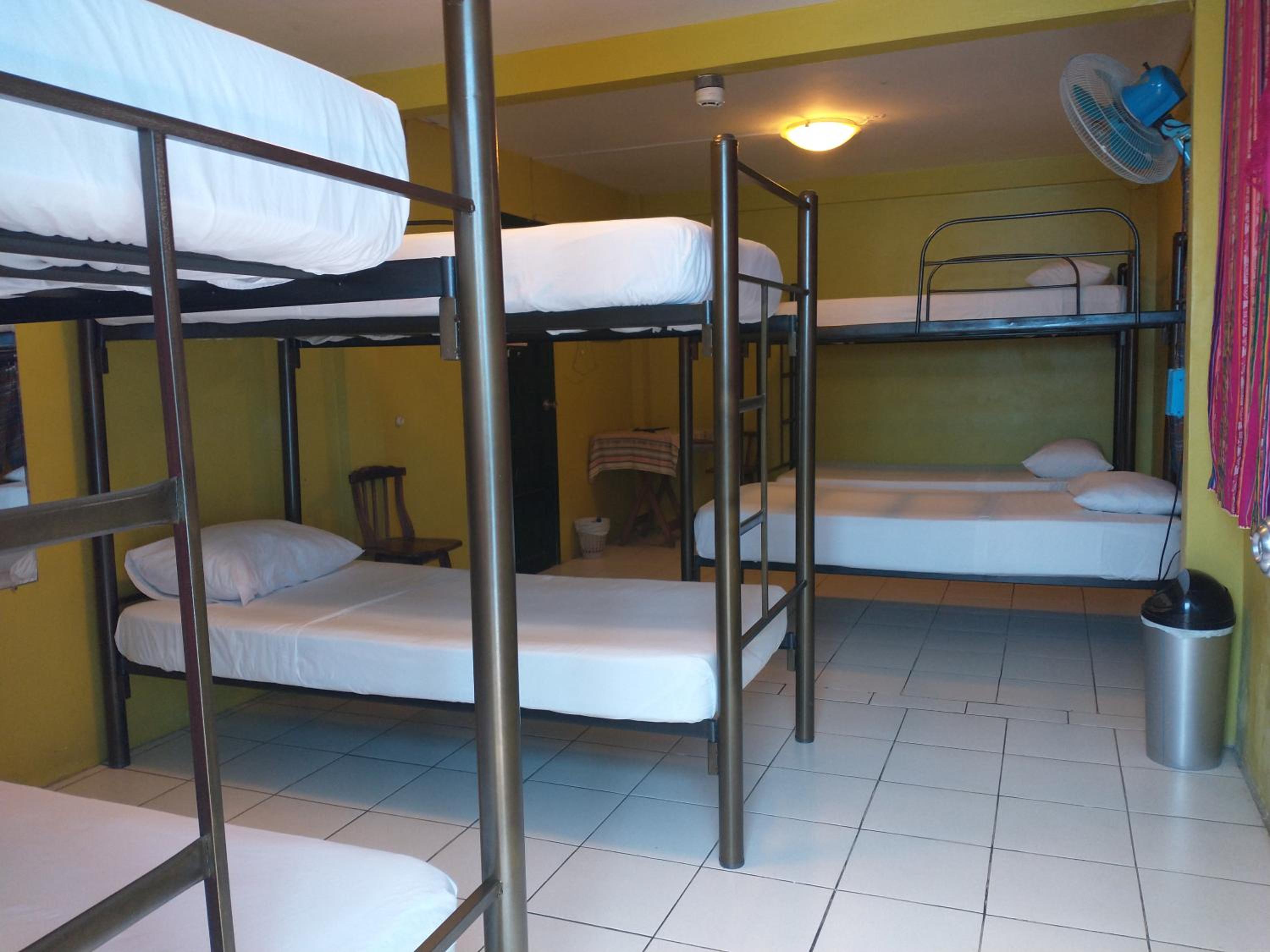 Dreamkapture Hostel close to the airport and bus terminal
