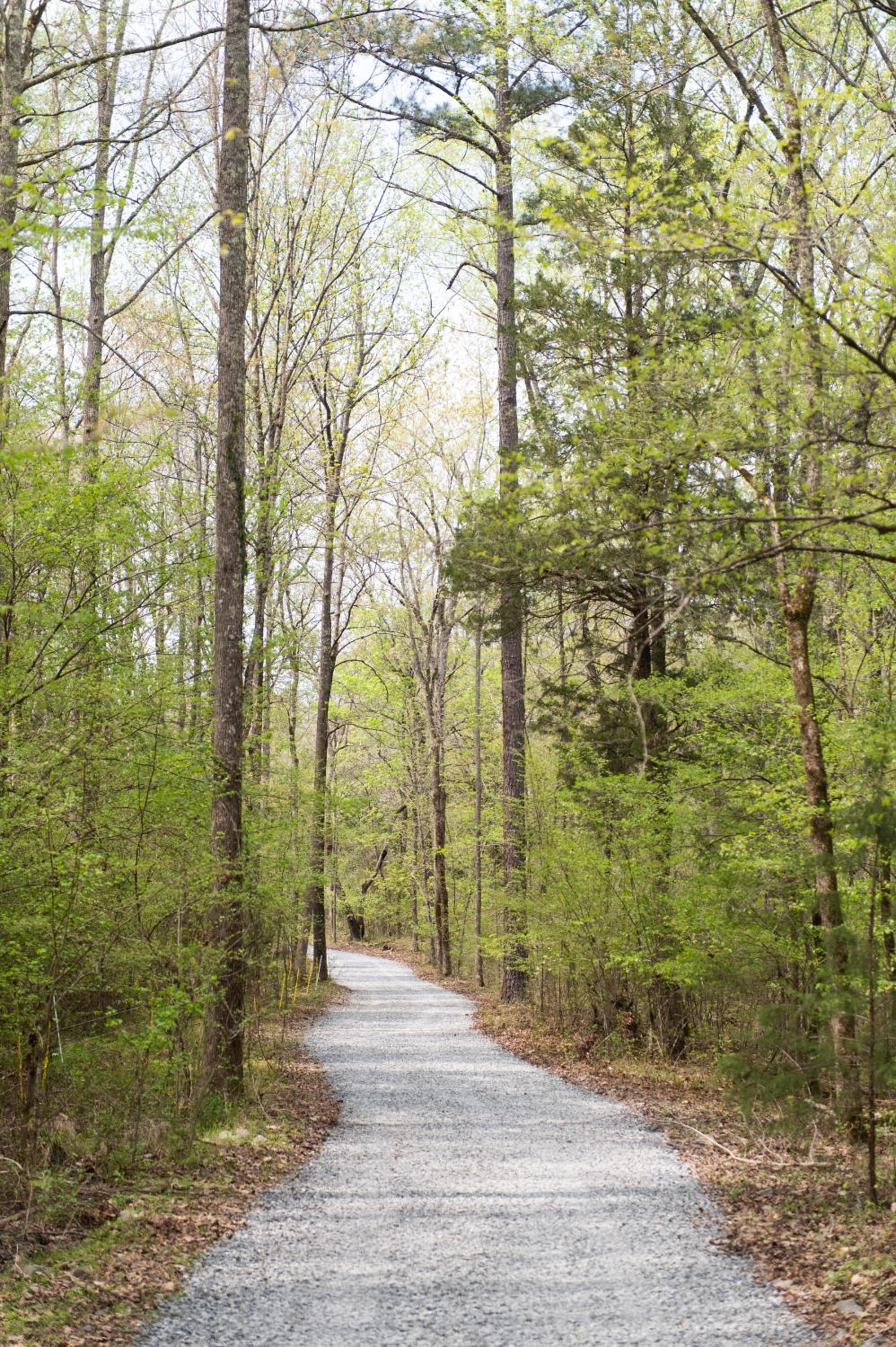Juneberry Ridge