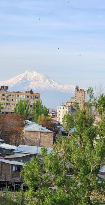 Cozy home: near Rossia mall : Center of Yerevan