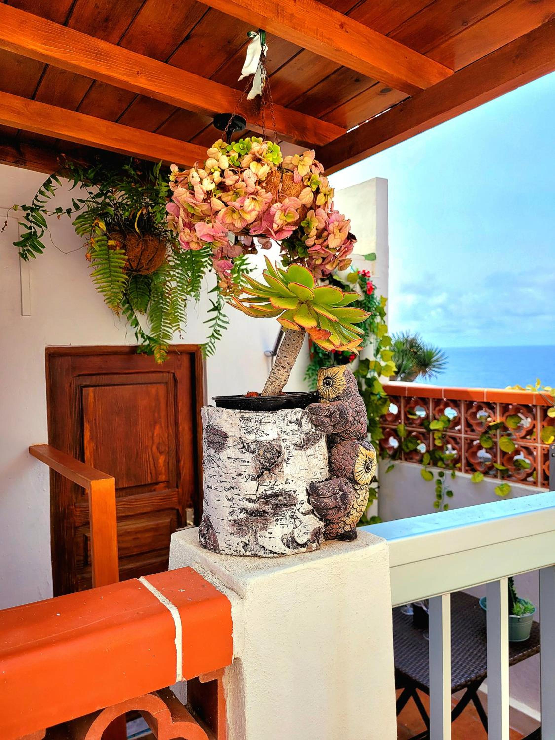 Anaga Manolo Natural House