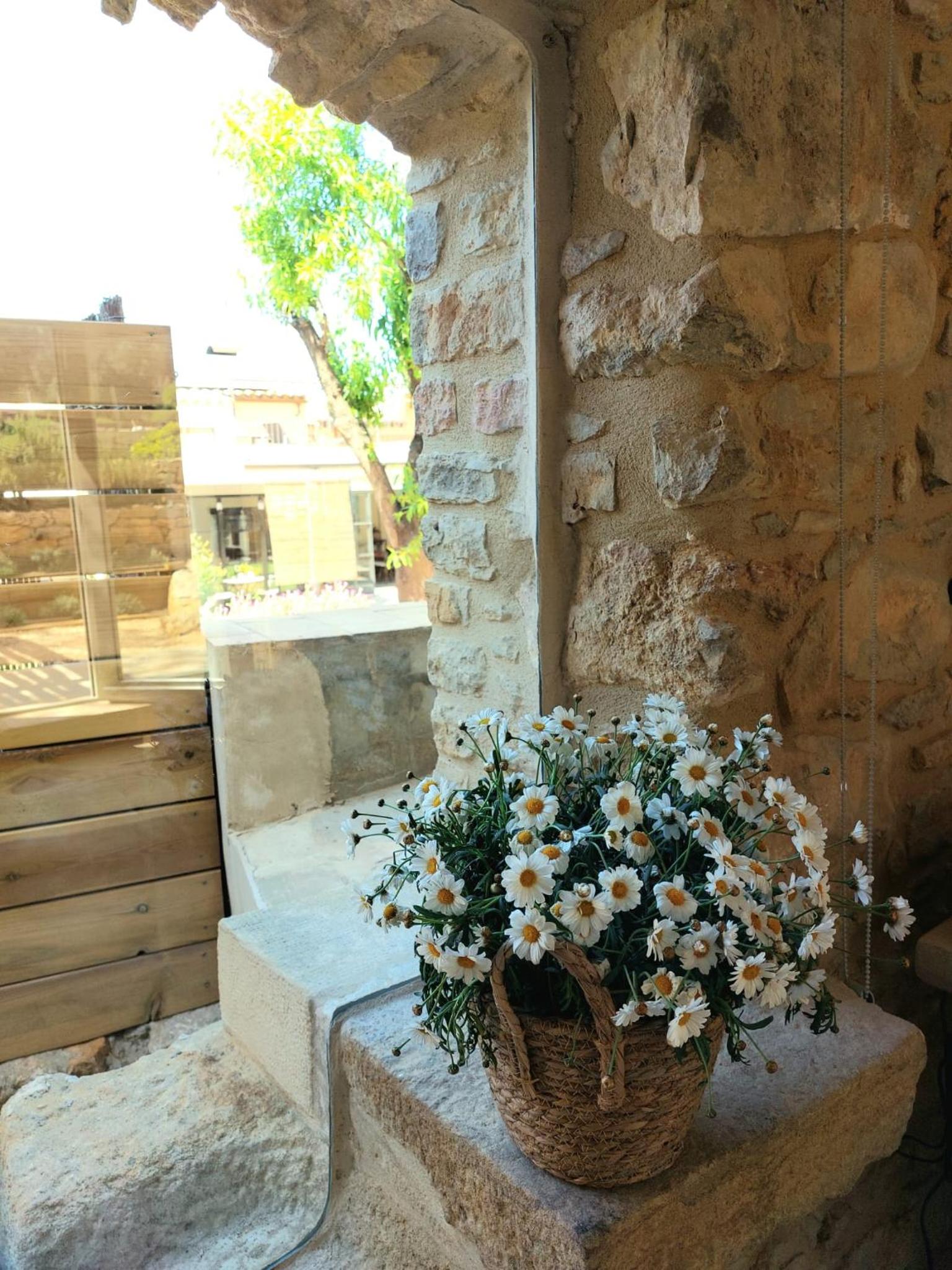 Photo 42