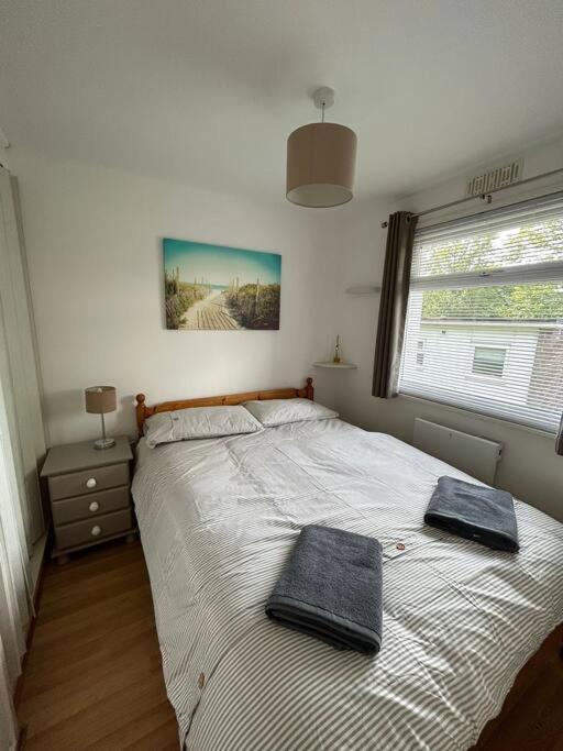 Cosy Chalet for Snowdonia view 4