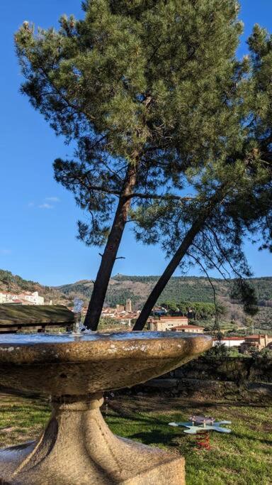 Apartamento Turístico Monteceli AT-CC-00748