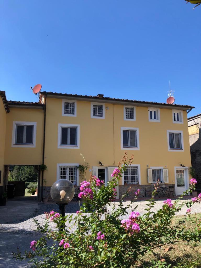 Intero alloggio campagna Lucca