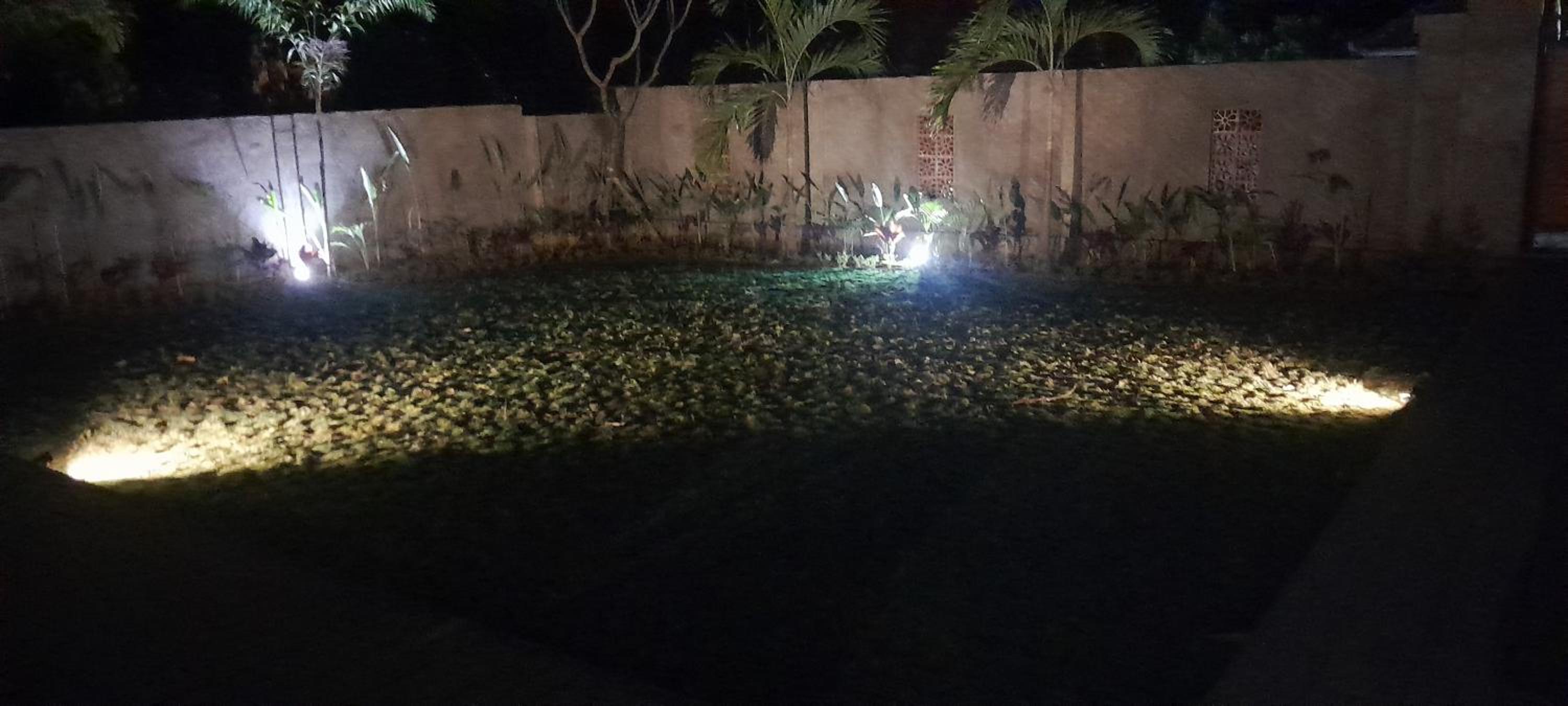 Photo 25