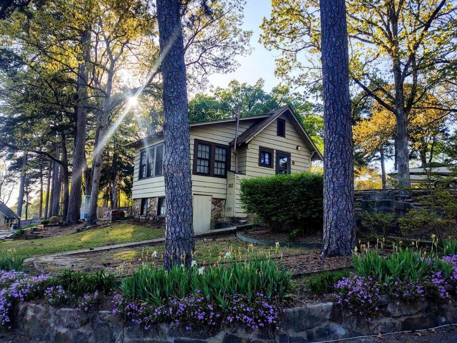#09 - Large Lakeview One Bedroom- Pet Friendly view 5