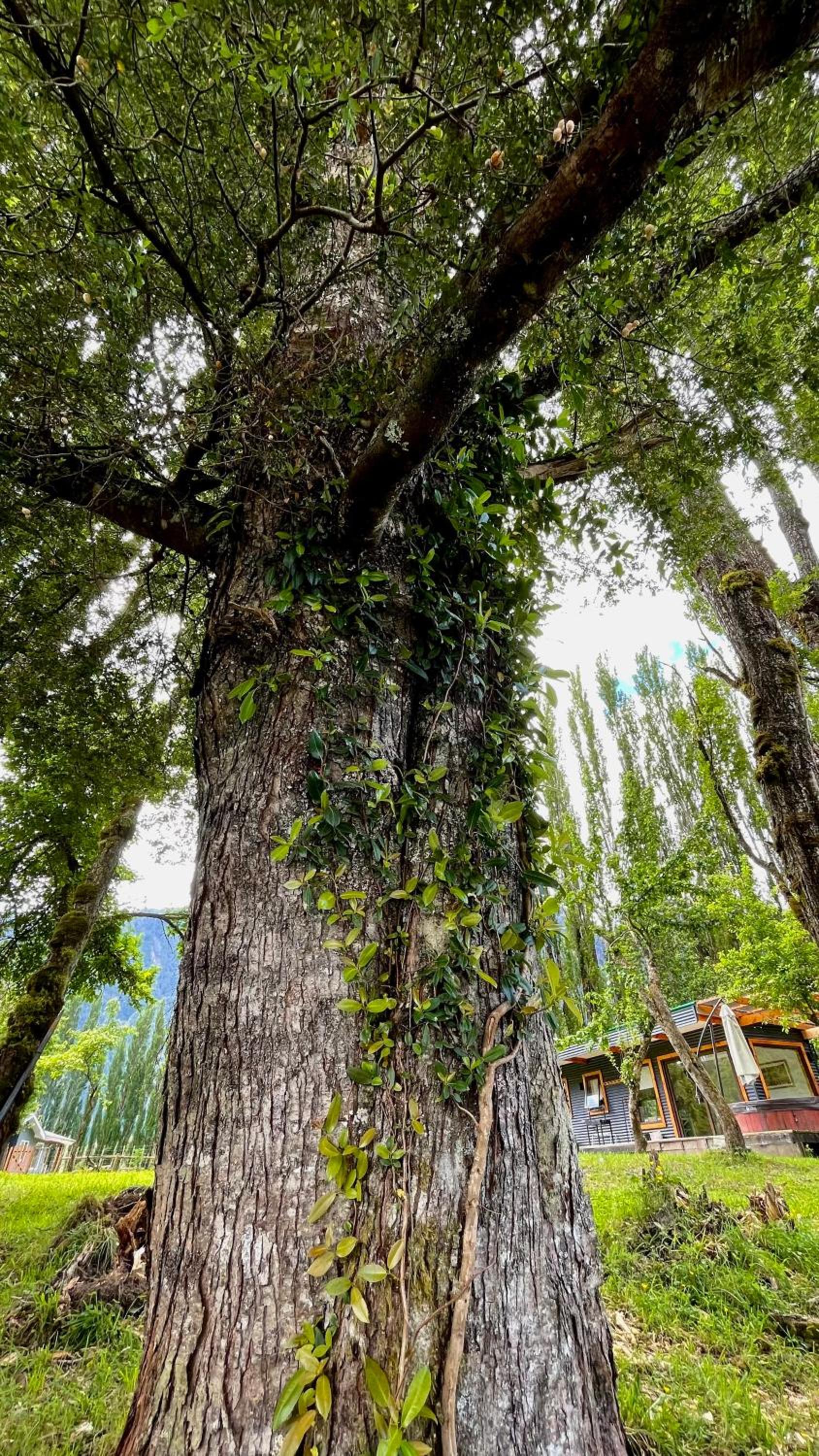 Huella Patagonia Lodge