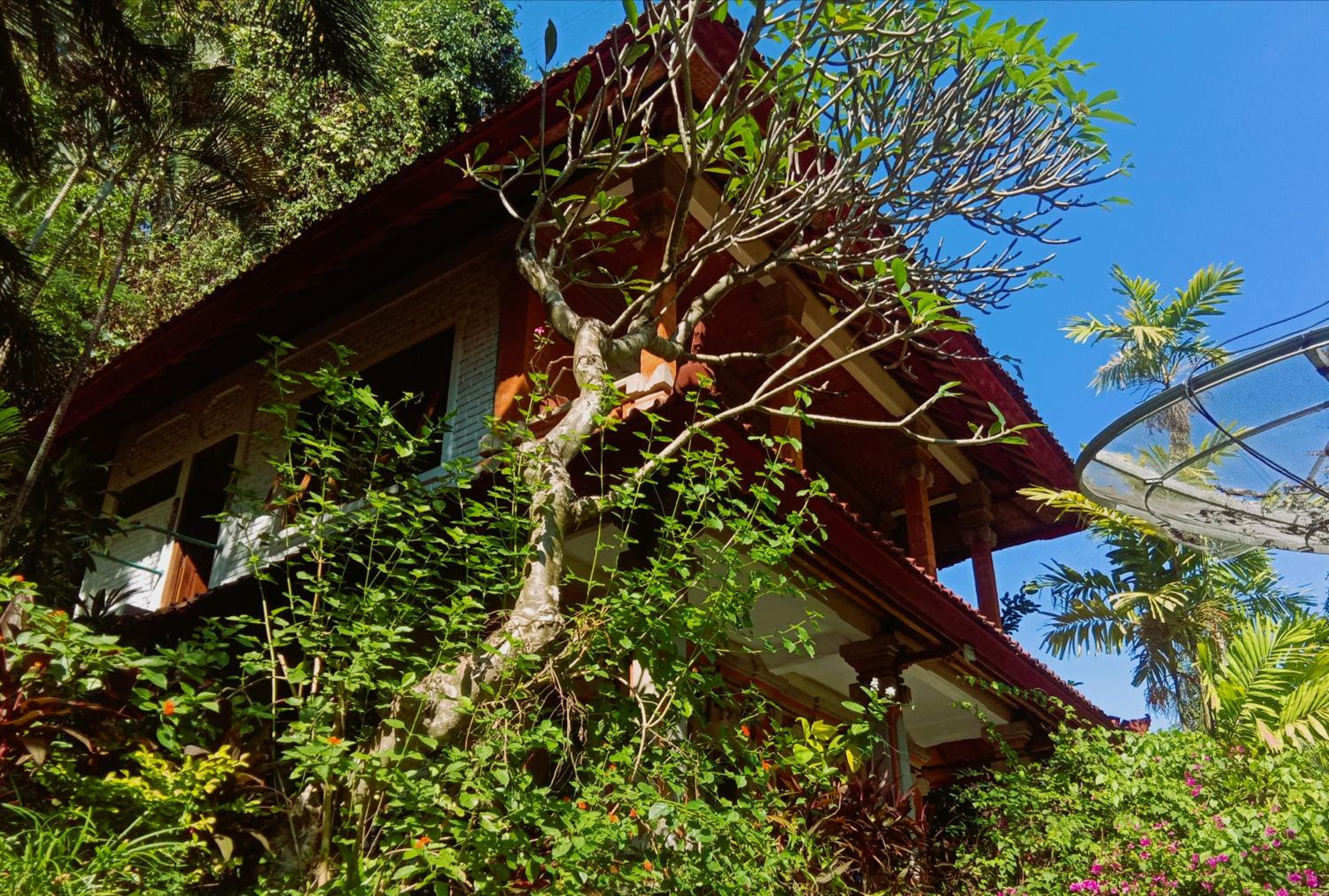 Photo 14