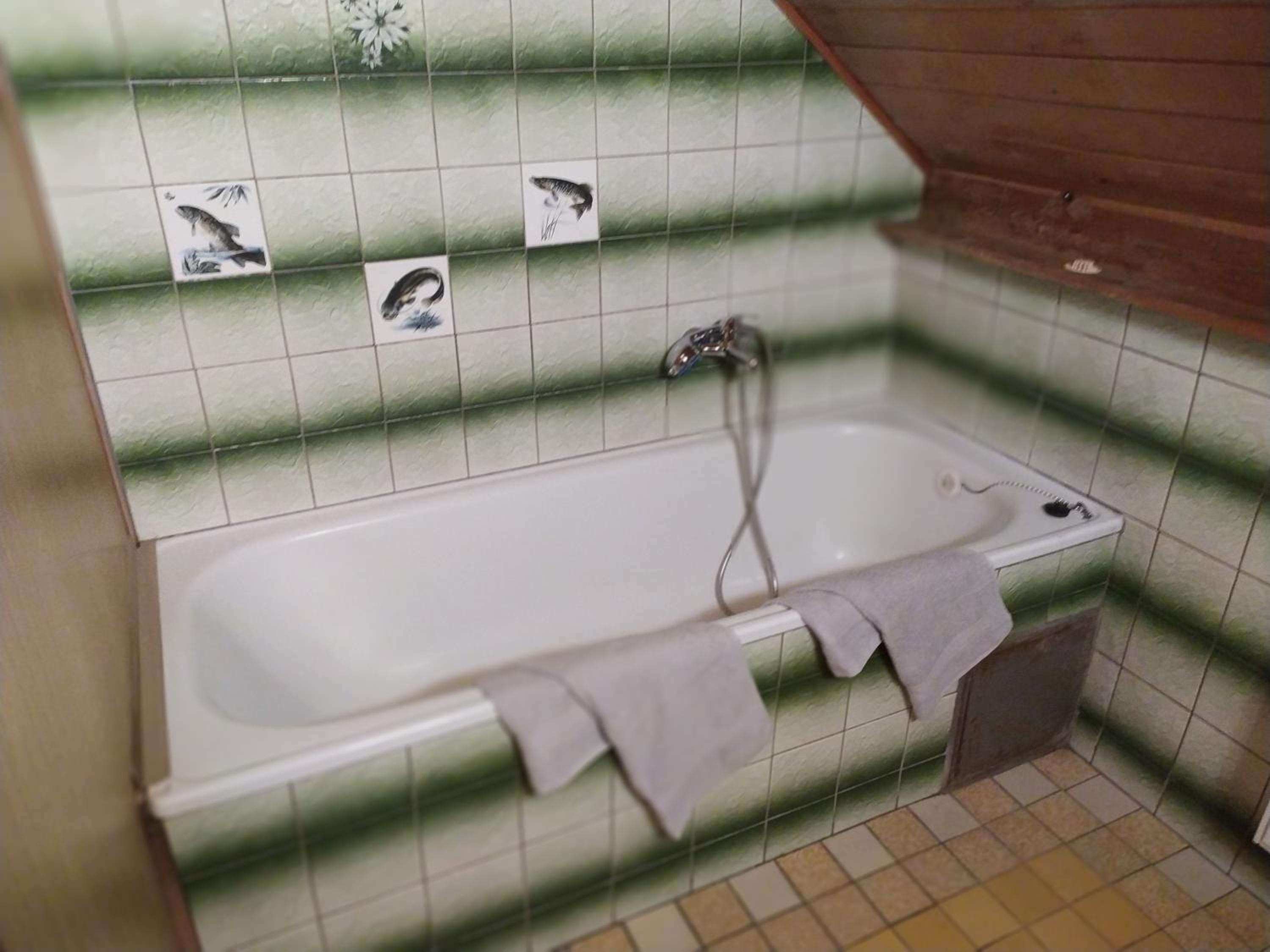 Apartmán u lesa u Adršpachu