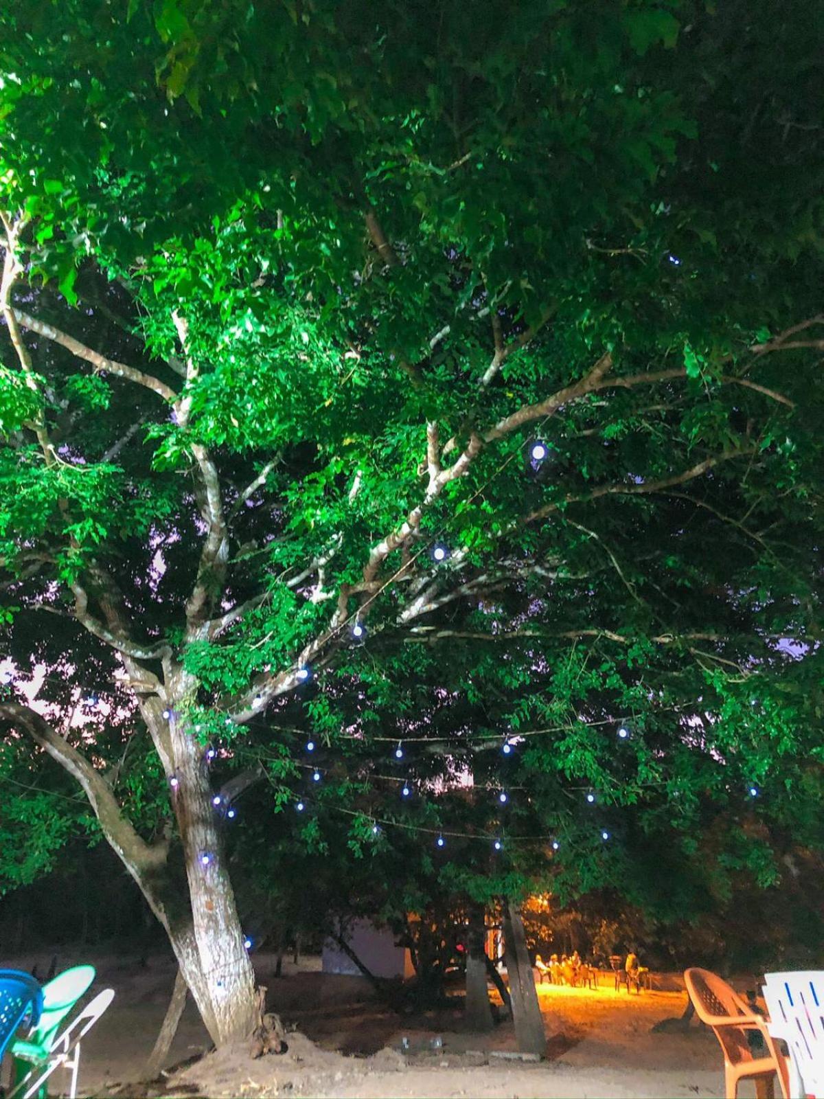 Chalés da Chapada
