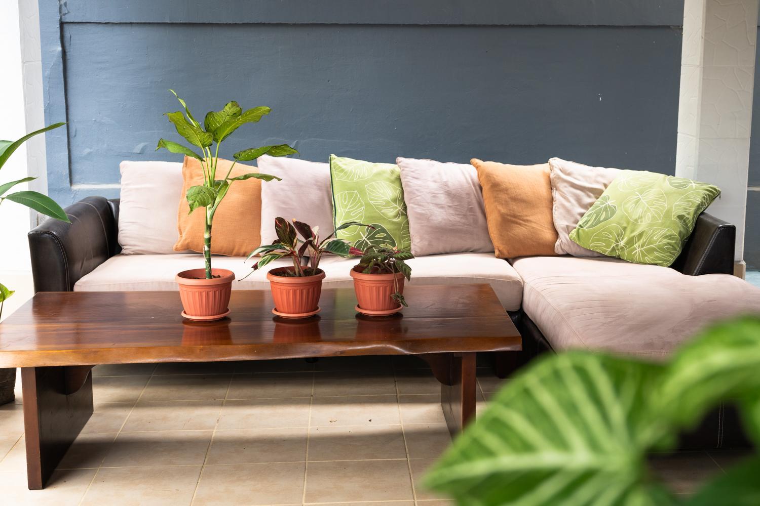 Mai Ke Kai Surf House