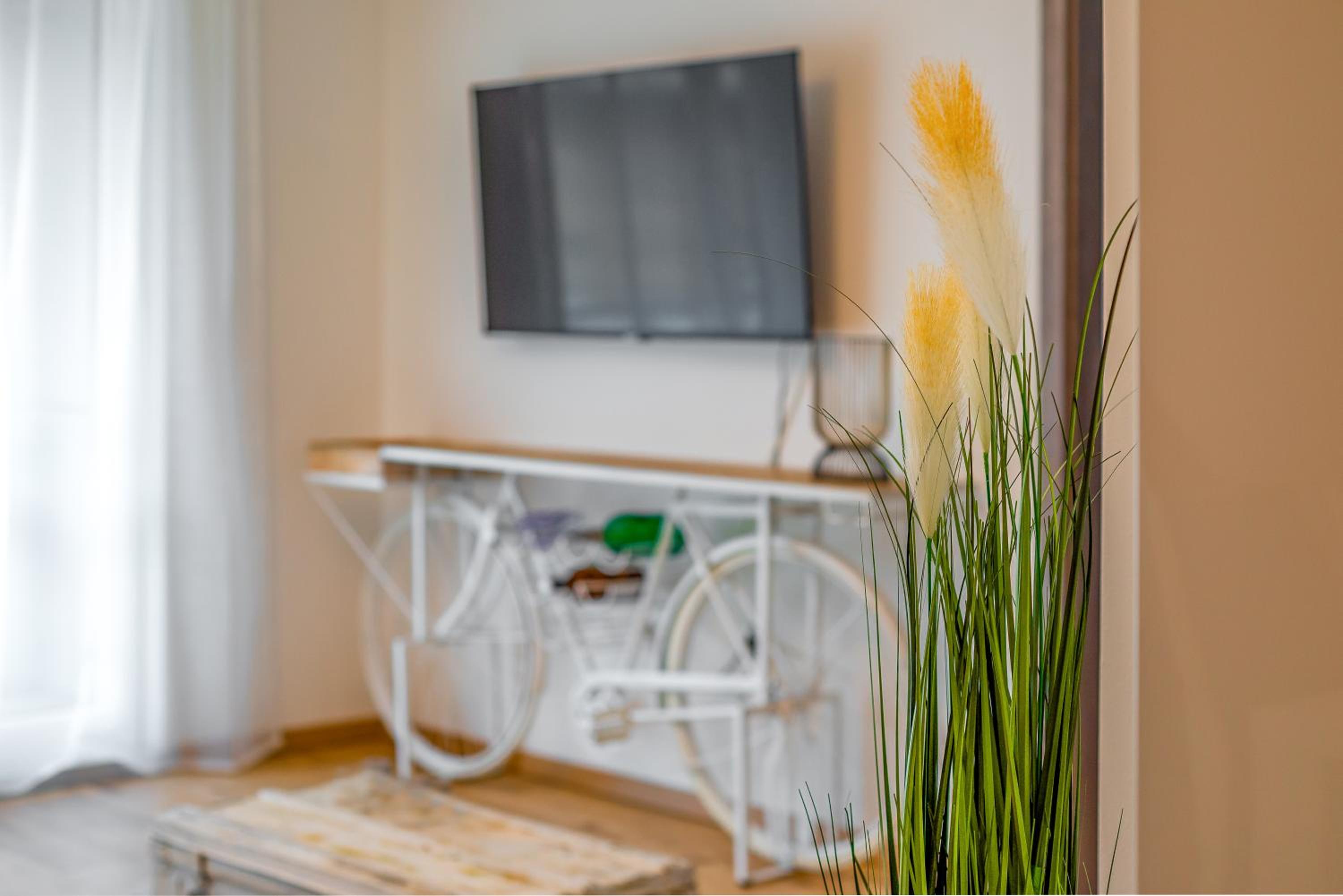 Grace Pine Apartment 2 view 3