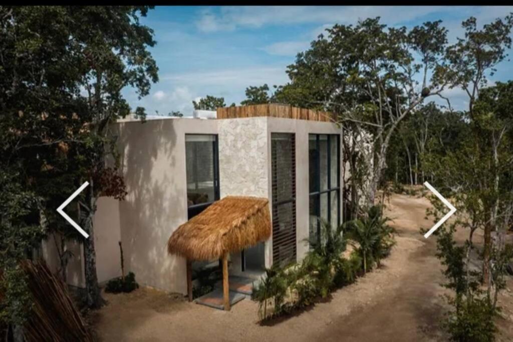 Luxury 3 Bed & Bath Eco-Chic Villa - Private Pool