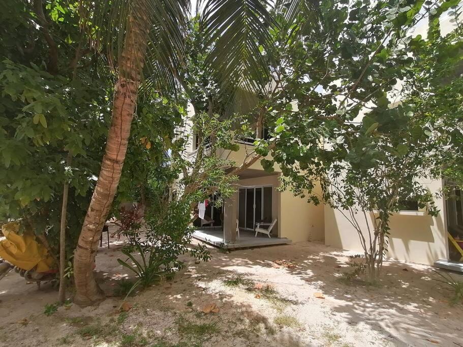 Marysol great views beachfront next to nomads d3 view 4