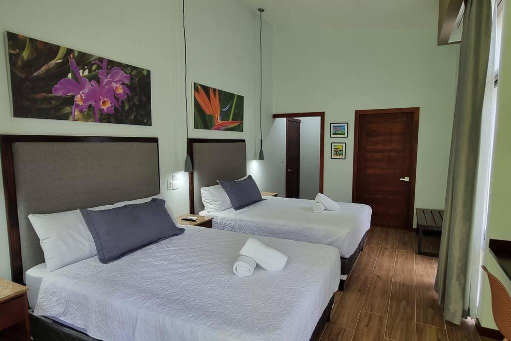 Villas Töcu-Casa Perezoso