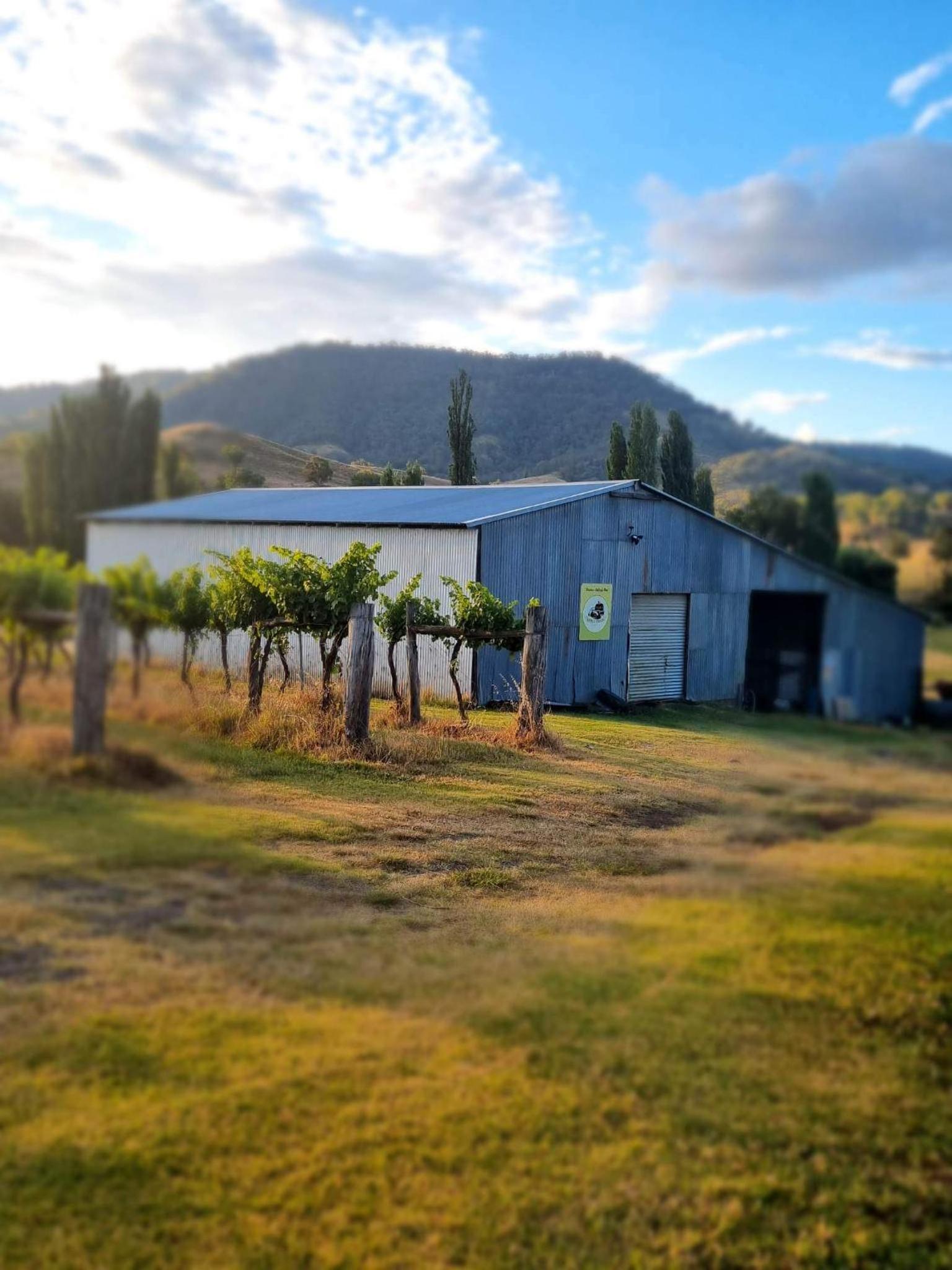 Roma Cottage on Roma Orchard