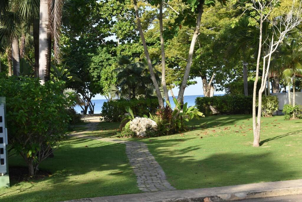 Irie Vibes by the beach view 5