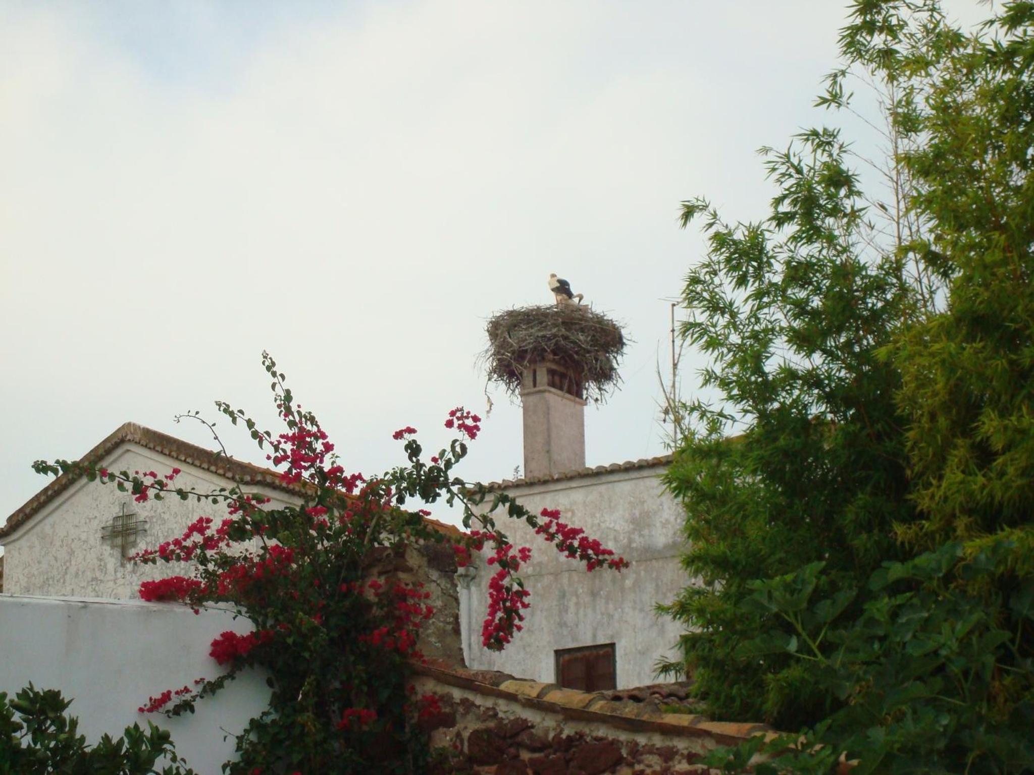 Casa Claudia - Pool and Wifi view 2