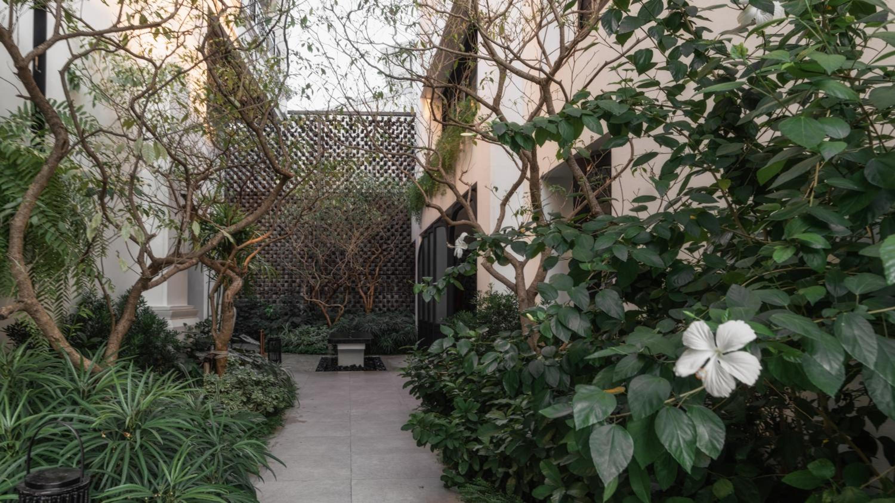 garden