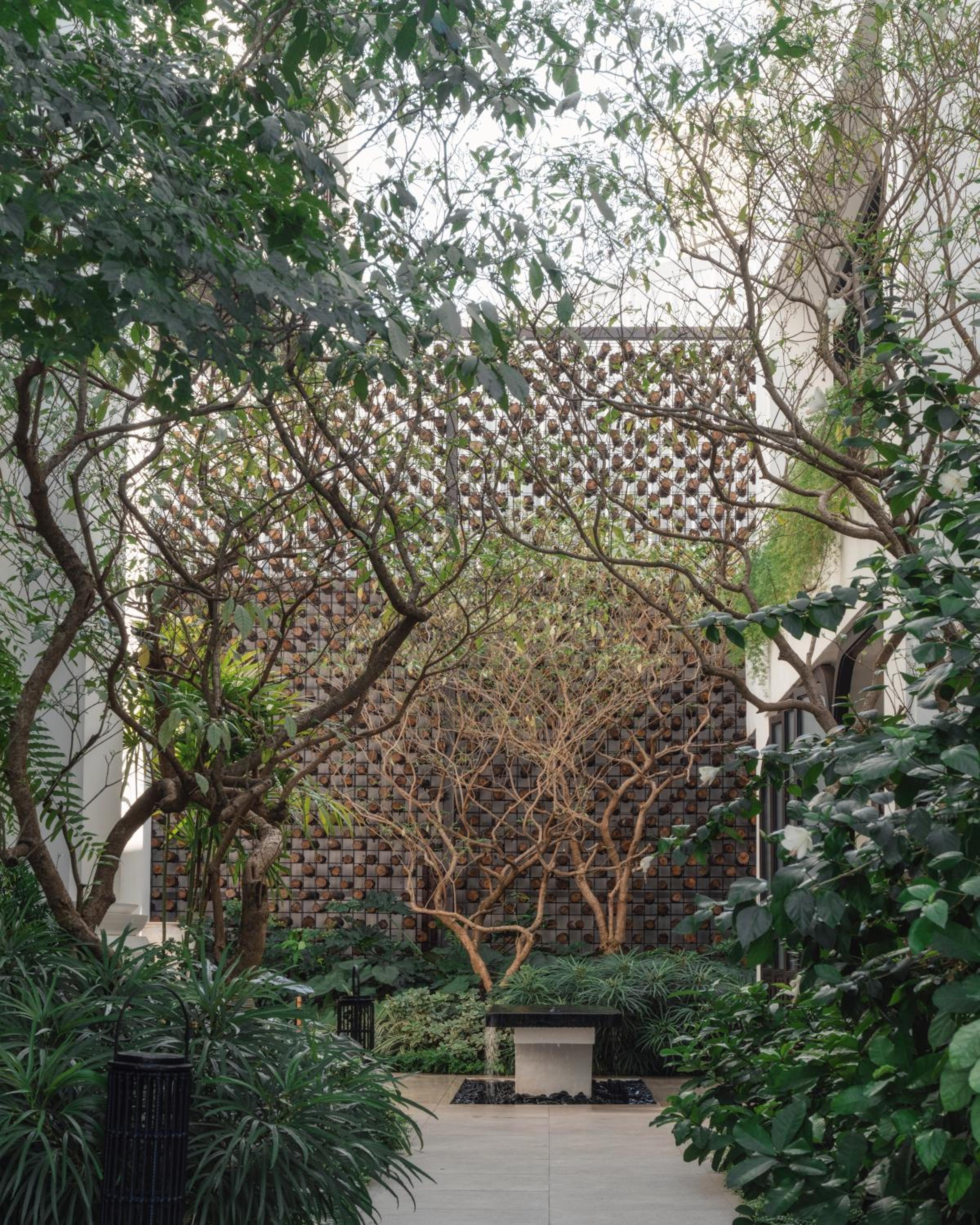 garden