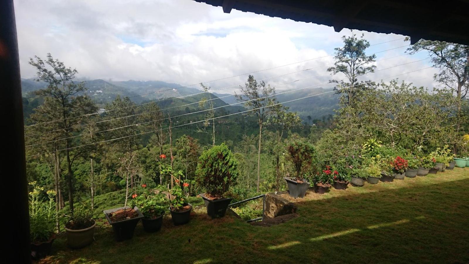 Ella Mountain Palace