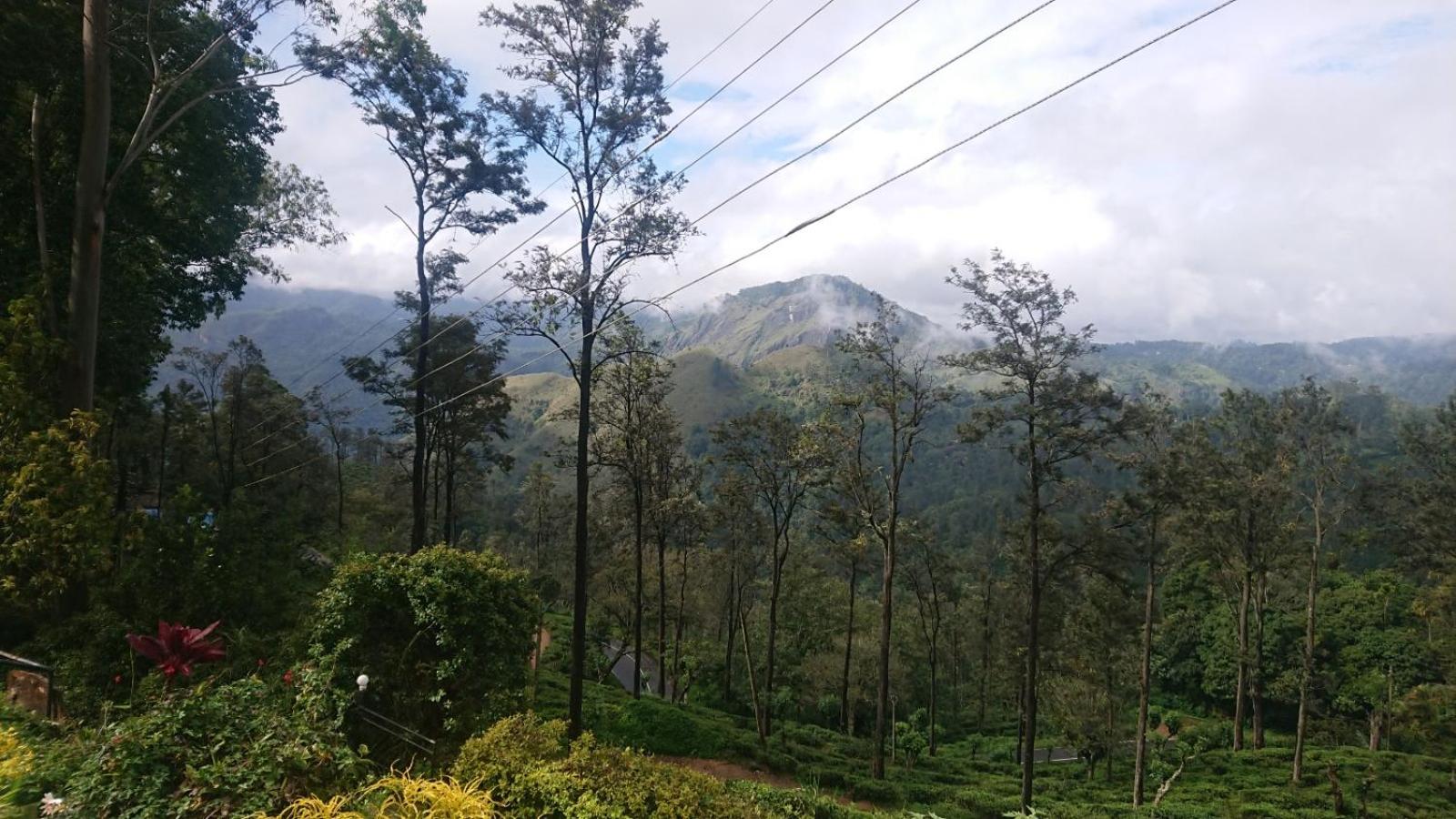 Ella Mountain Palace