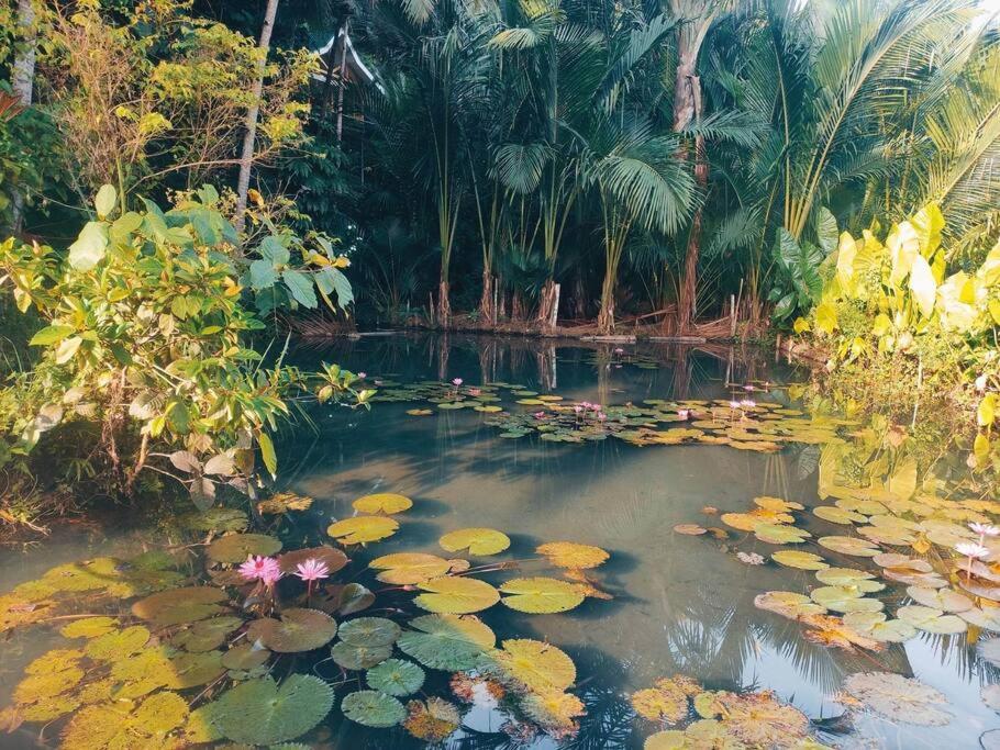 Remote Home near Secret Lagoon with Motorcycle view 2