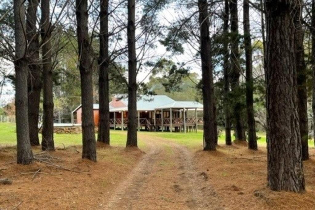 Pine View Cottage - Pet Friendly - Cowaramup