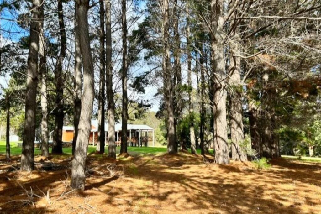 Pine View Cottage - Pet Friendly - Cowaramup
