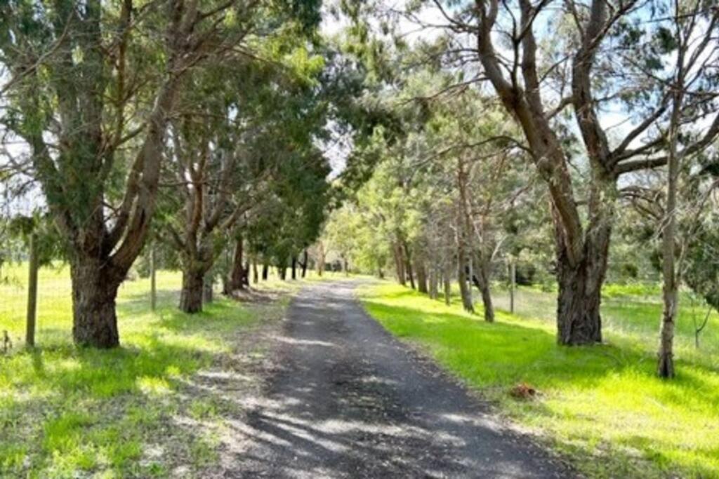 Pine View Cottage - Pet Friendly - Cowaramup