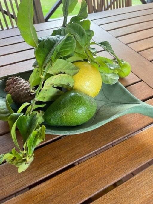 Pine View Cottage - Pet Friendly - Cowaramup