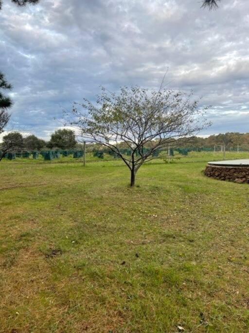 Pine View Cottage - Pet Friendly - Cowaramup