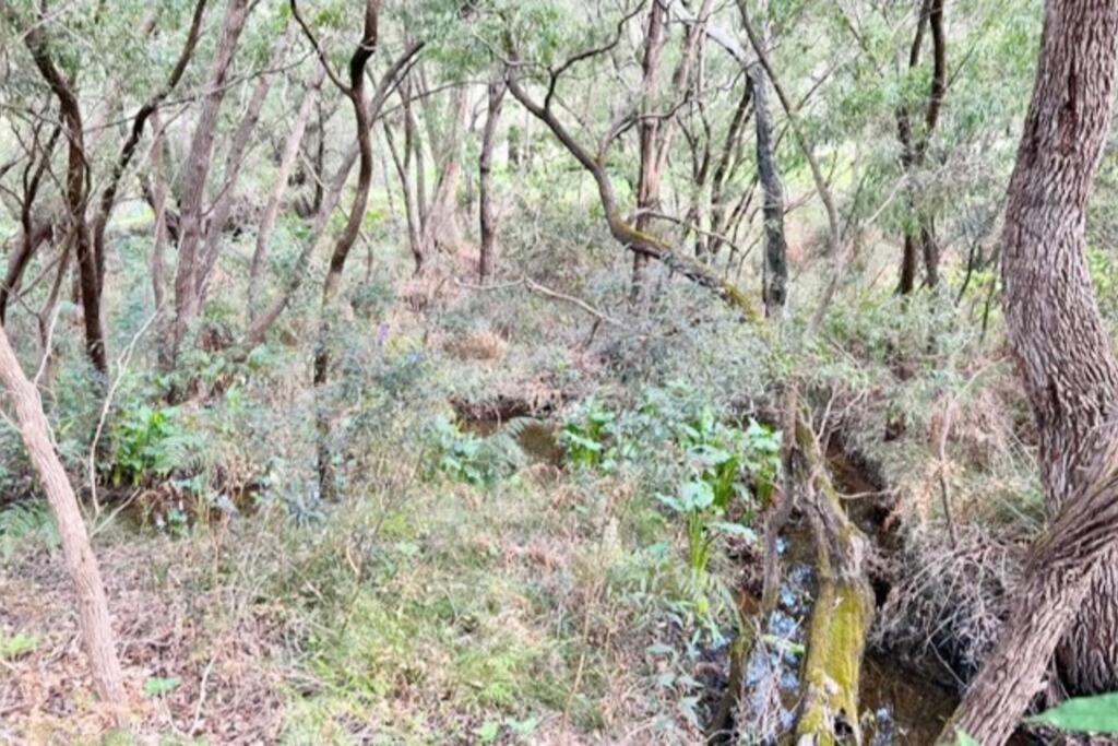 Pine View Cottage - Pet Friendly - Cowaramup