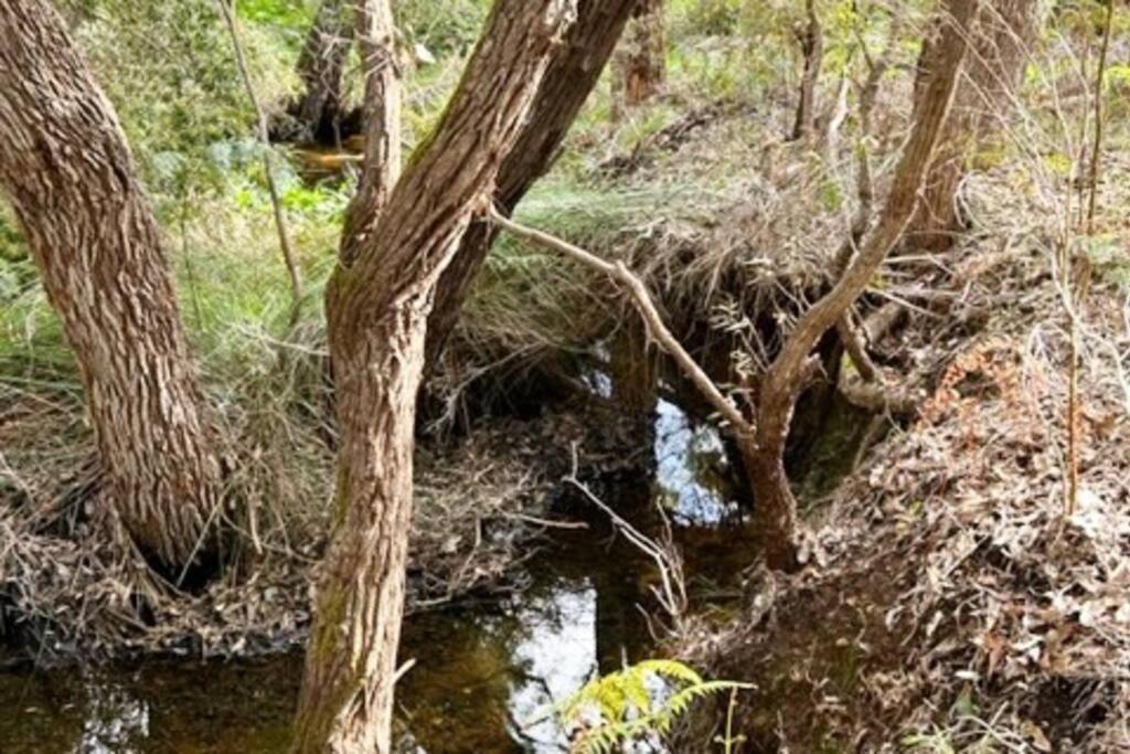Pine View Cottage - Pet Friendly - Cowaramup