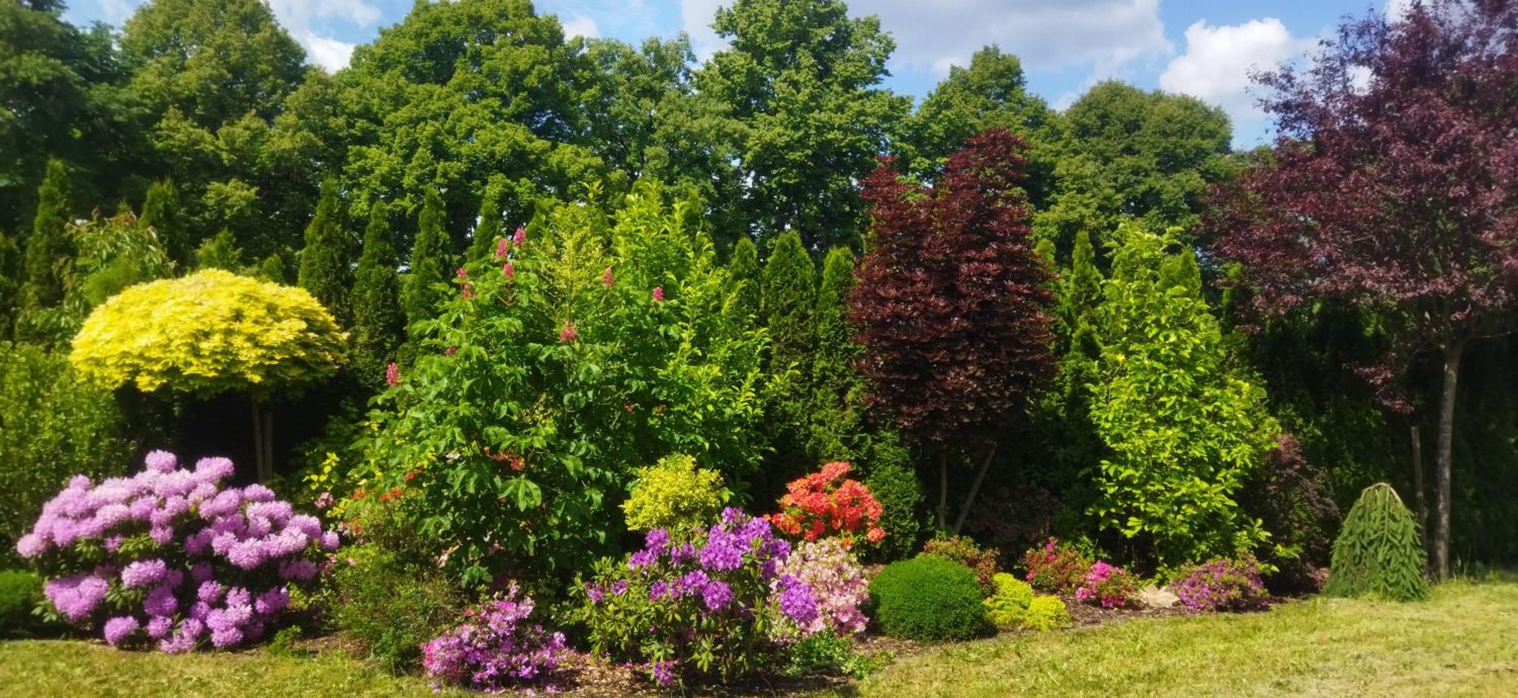 Rekreační wellness dům Mariposa