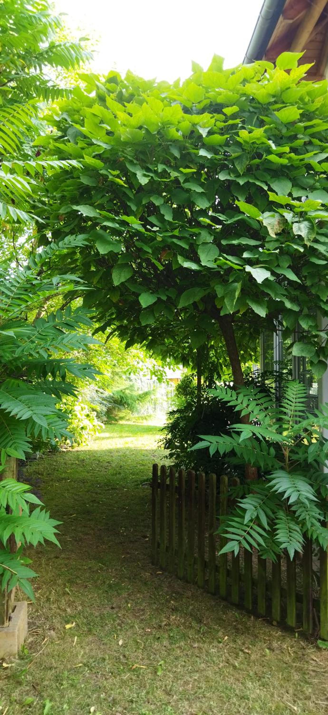 Rekreační wellness dům Mariposa