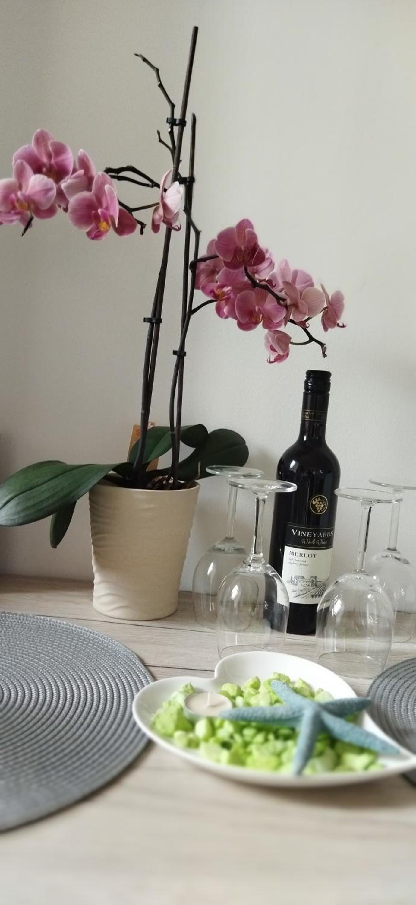 Rekreační wellness dům Mariposa