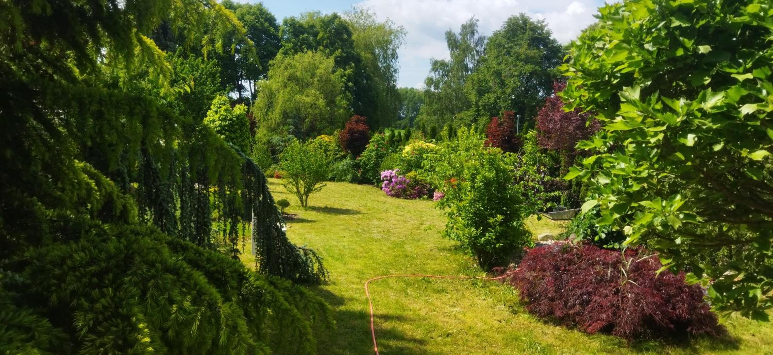Rekreační wellness dům Mariposa