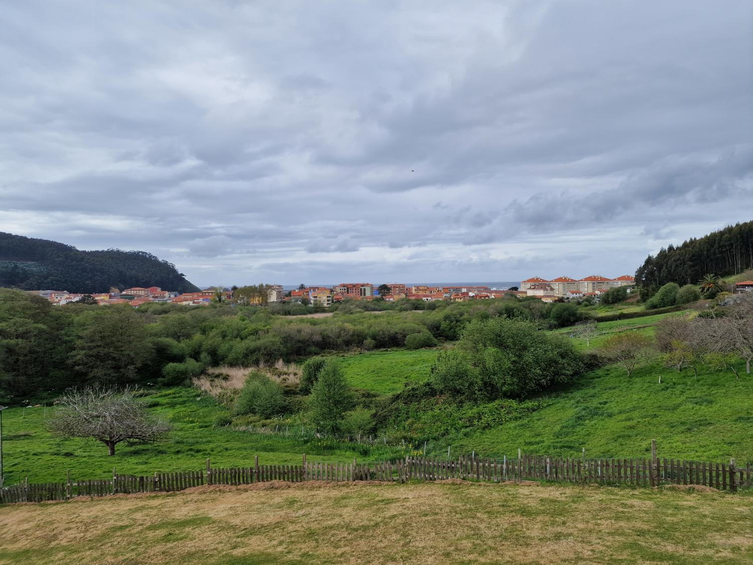 Complejo Rural Las Mimosas del Nalon