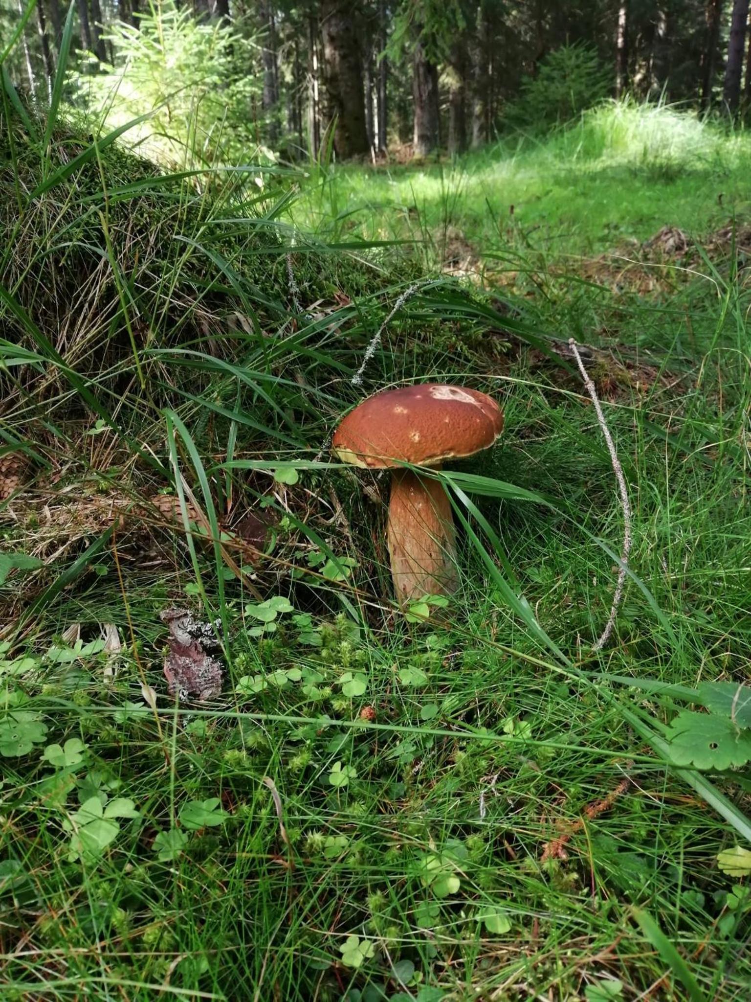 Photo 8