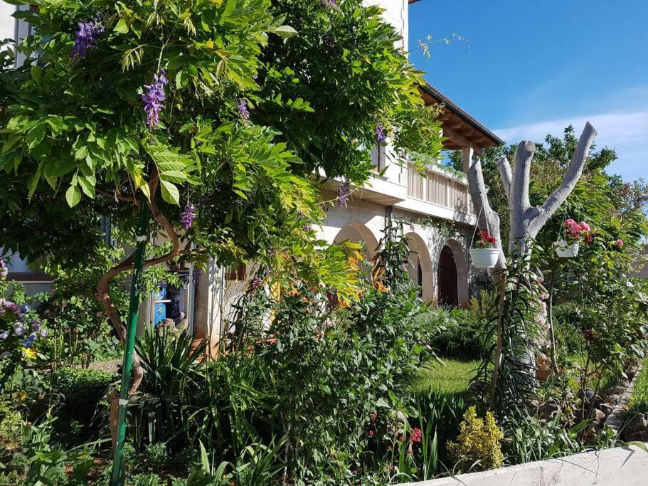 Peaceful studio apartment near to sea view 2