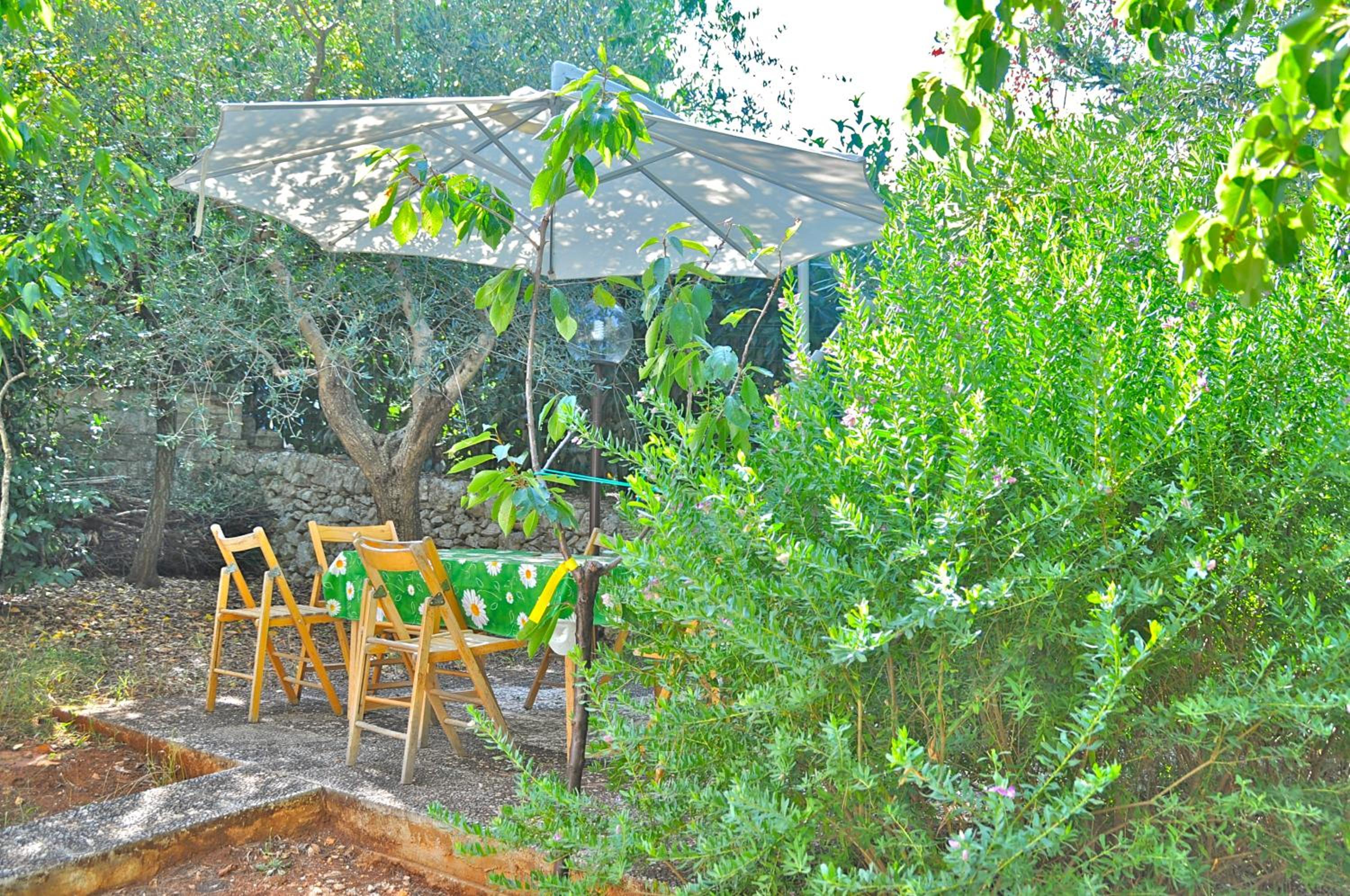 Villa Matilde view 2