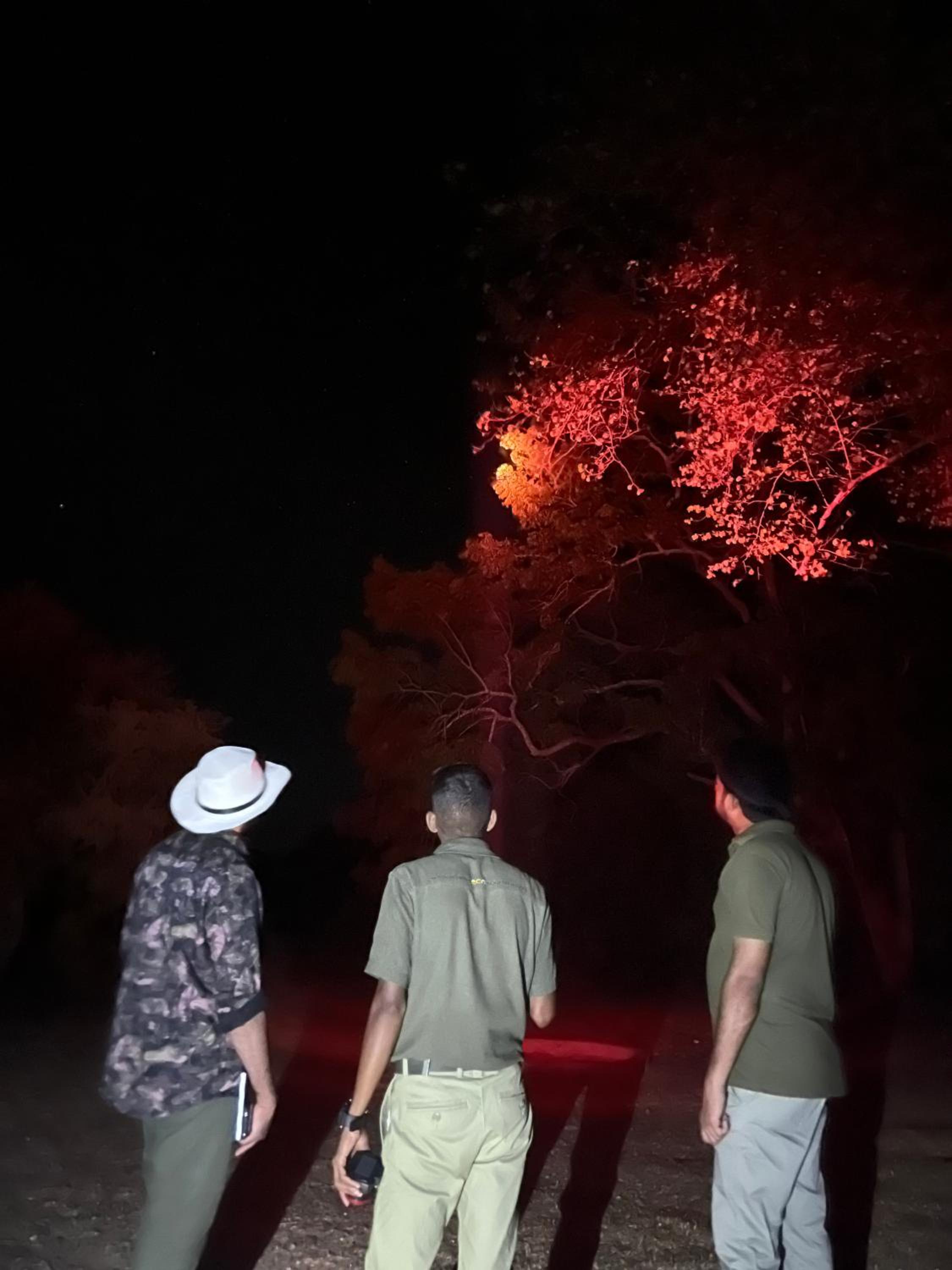 Big Game - Wilpattu by Eco Team