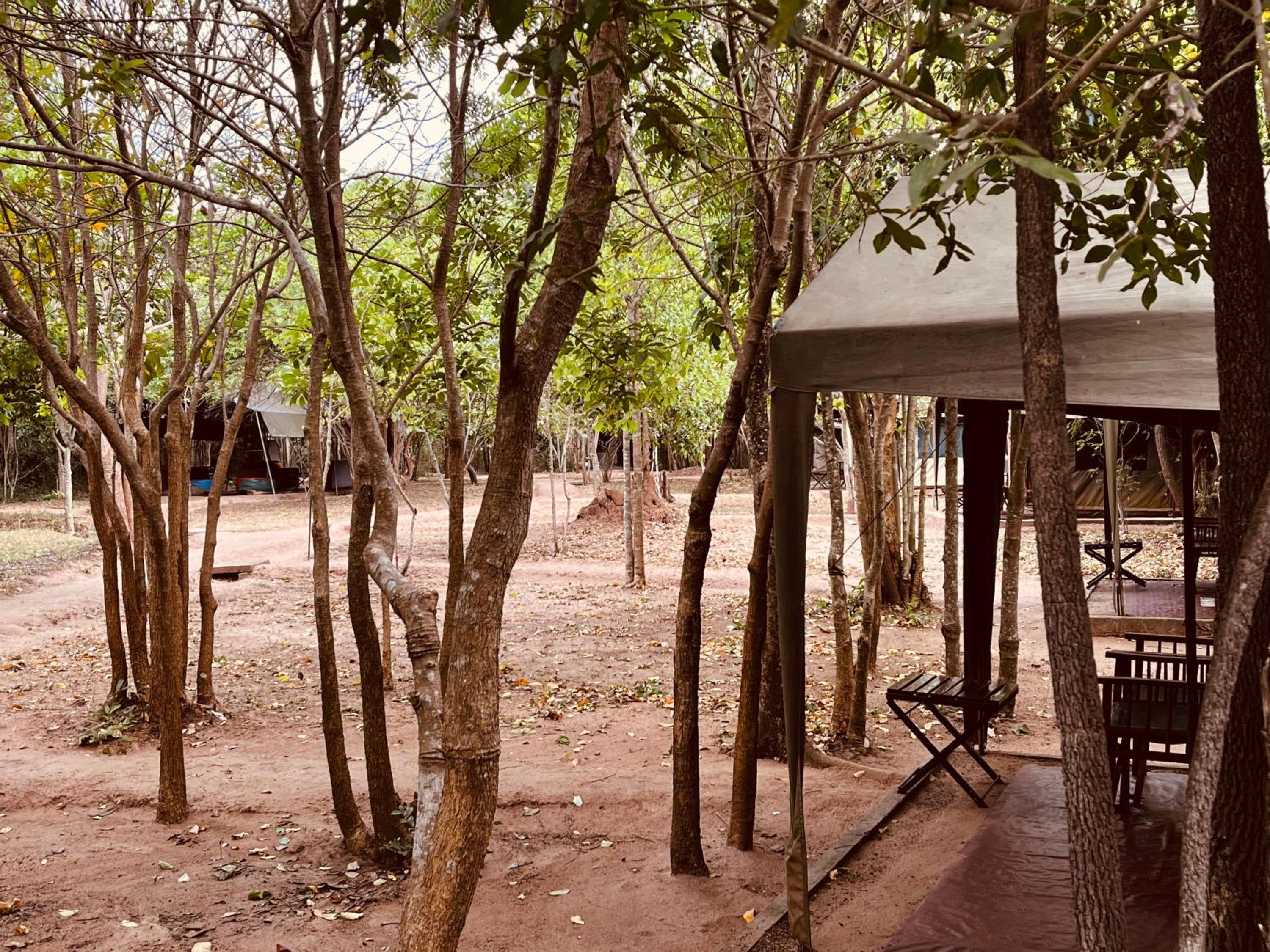 Big Game - Wilpattu by Eco Team