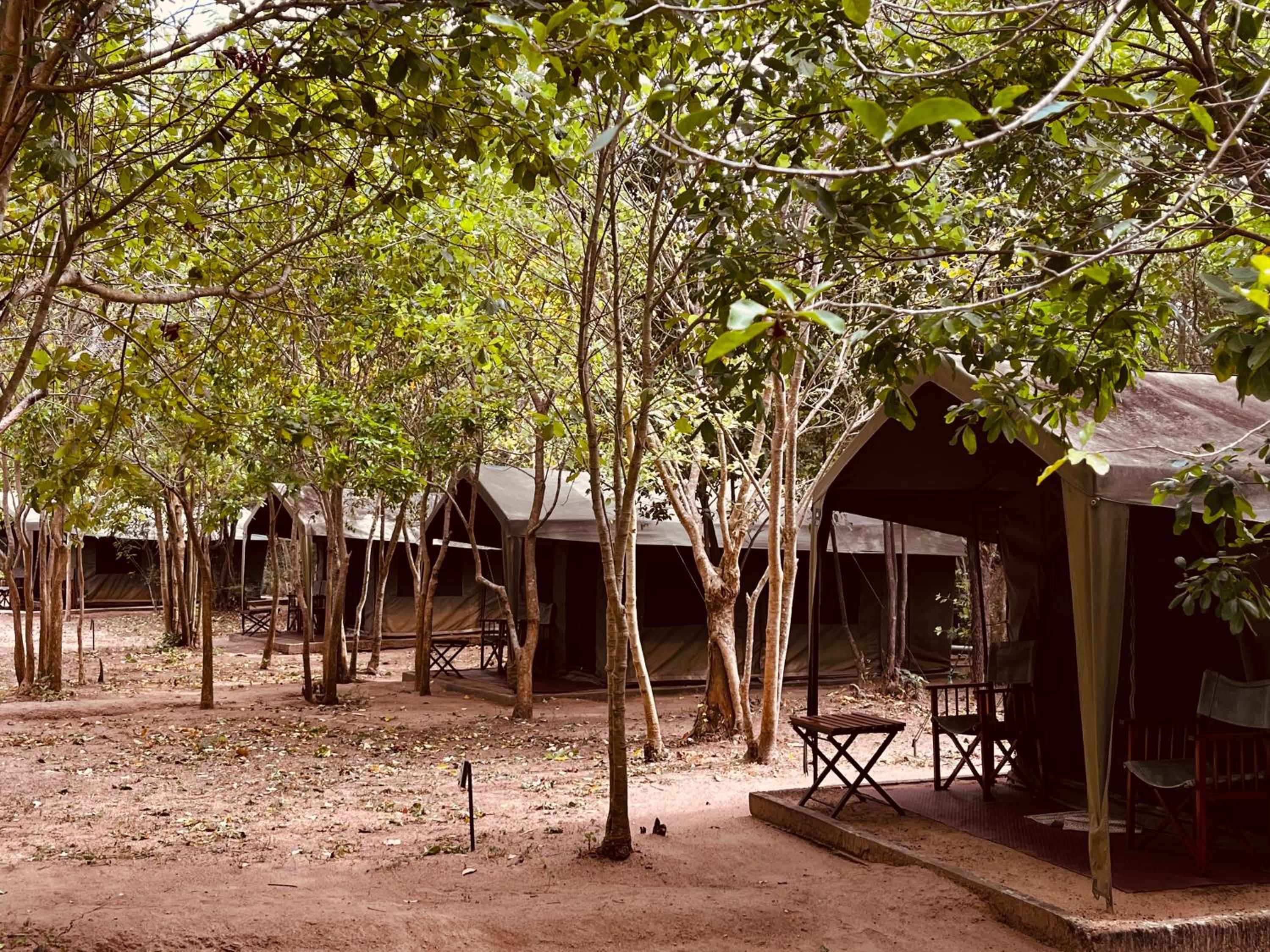 Big Game - Wilpattu by Eco Team