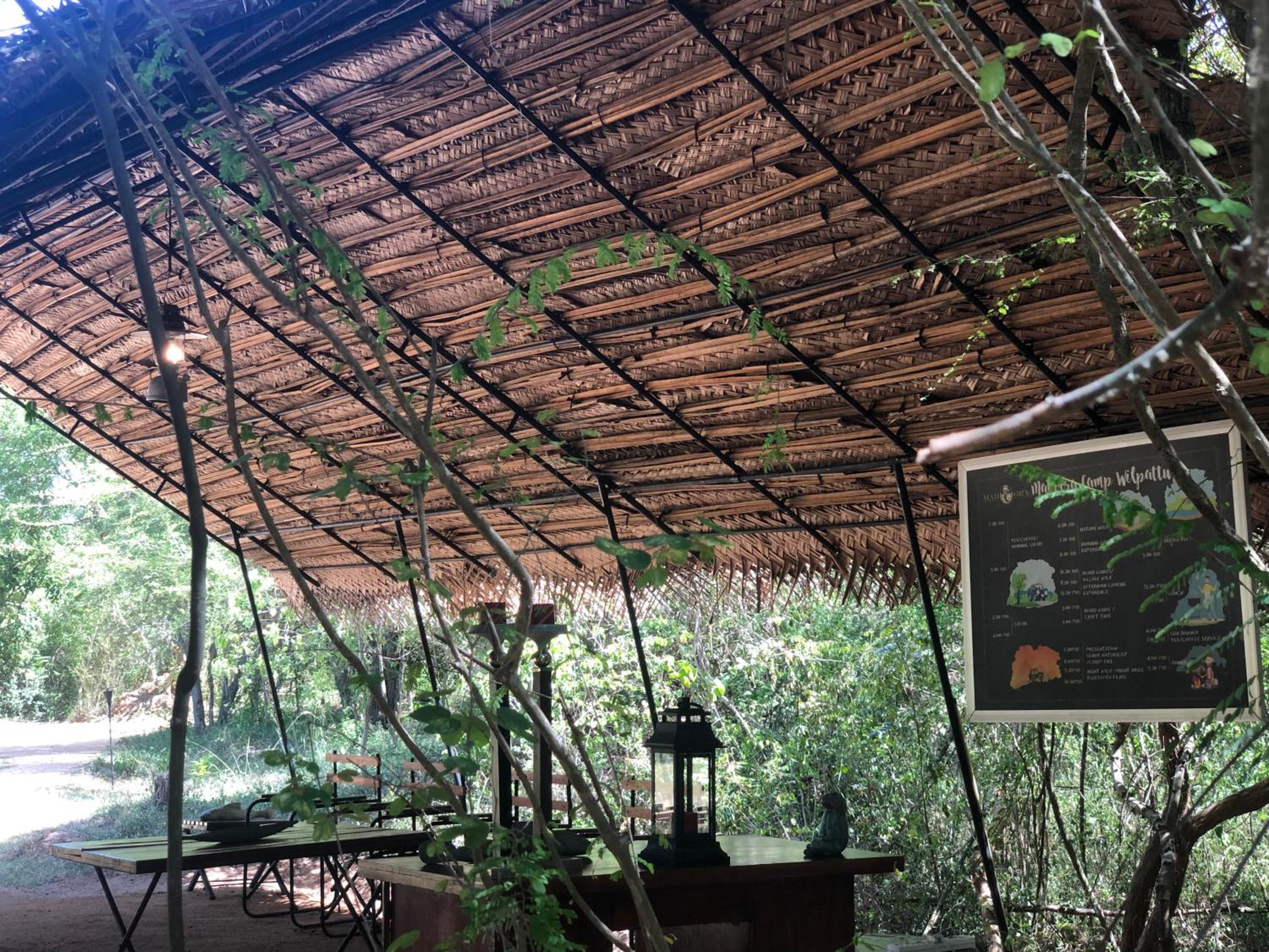 Big Game - Wilpattu by Eco Team