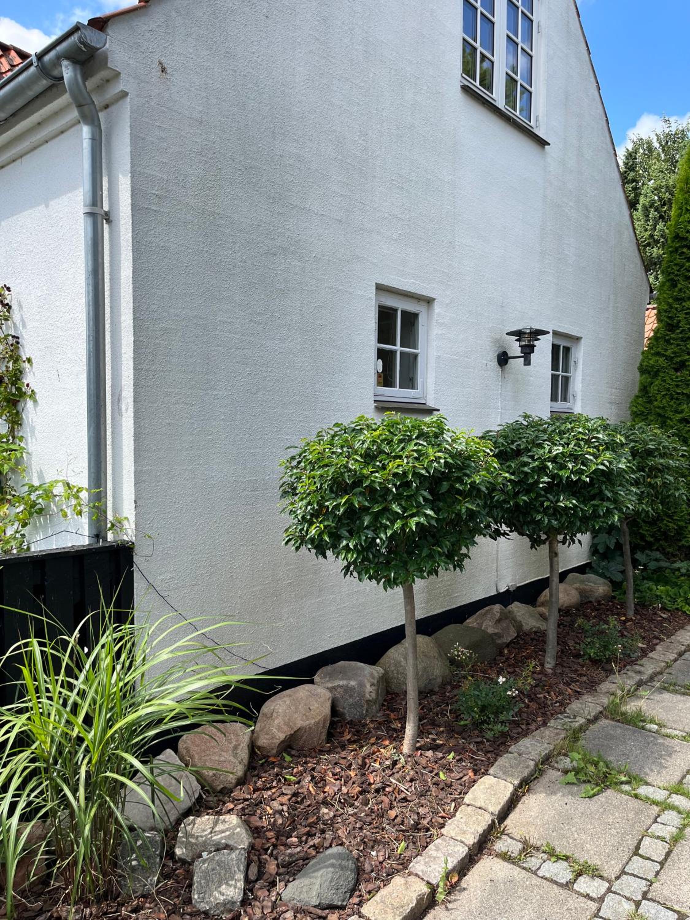 The Guest House